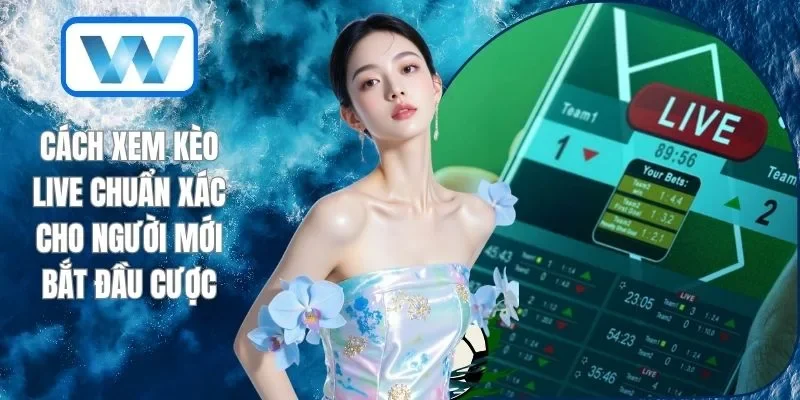 Cách Xem Kèo Live Chuẩn Xác Cho Người Mới Bắt Đầu Cược 1 Cách Xem Kèo Live Chuẩn Xác Cho Người Mới Bắt Đầu Cược