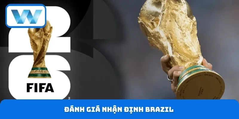 Soi Kèo World Cup Chính Xác 24h Hôm Nay Ngày Mai Tại W88 5 Đánh giá nhận định Brazil