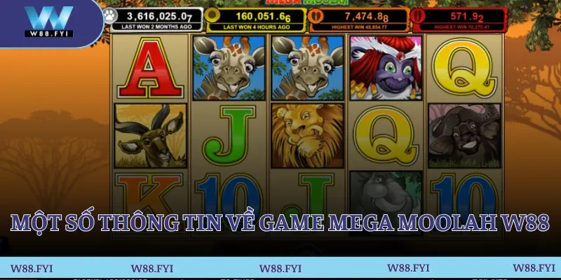 Một số thông tin về game Mega Moolah W88