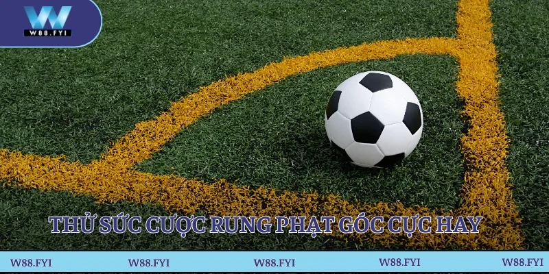 Thử sức cược rung phạt góc cực hay