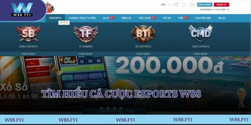 Tìm hiểu cá cược Esports W88