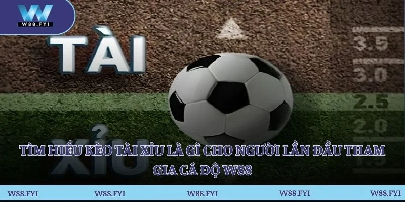 Tìm hiểu kèo tài xỉu là gì cho người lần đầu tham gia cá độ W88