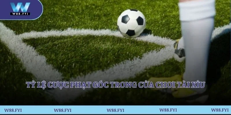 Tỷ lệ cược phạt góc trong cửa chơi tài xỉu