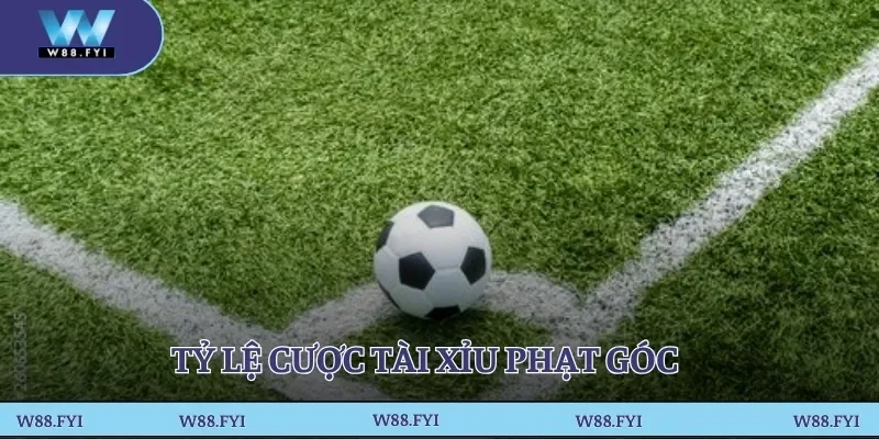 Tỷ lệ cược tài xỉu phạt góc