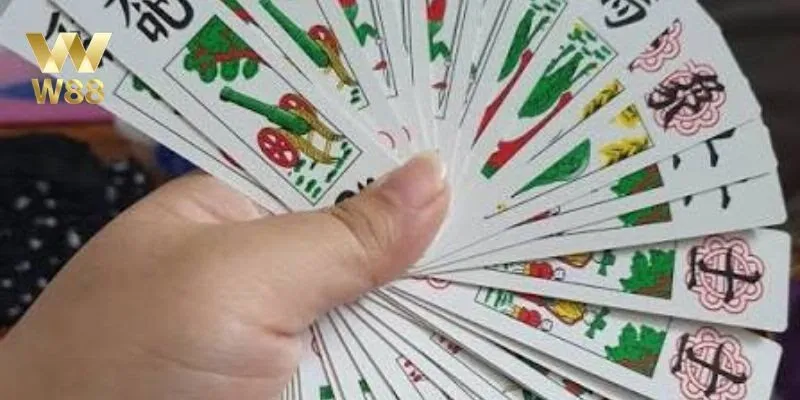 Tam Cúc Là Gì? Nguồn Gốc Và Ý Nghĩa